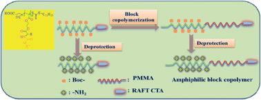 Graphical abstract: Cationic methacrylate polymers containing chiral amino acid moieties: controlled synthesis via RAFT polymerization