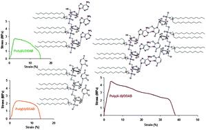 Graphical abstract: Chemical structure, thermal and mechanical properties of poly(nucleotide)–cationic amphiphile films