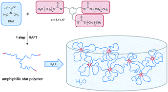 Graphical abstract: One-step RAFT synthesis of well-defined amphiphilic star polymers and their self-assembly in aqueous solution