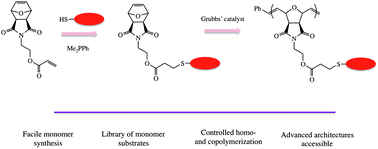 Graphical abstract: Thiol-Michael coupling chemistry: facile access to a library of functional exo-7-oxanorbornenes and their ring-opening metathesis (co)polymerization