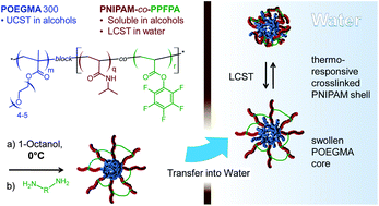 Graphical abstract: UCST-driven self-assembly and crosslinking of diblock copolymer micelles