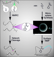 Graphical abstract: Thermally responsive core–shell microparticles and cross-linked networks based on nitrone chemistry