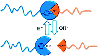 Graphical abstract: Schiff's base as a stimuli-responsive linker in polymer chemistry