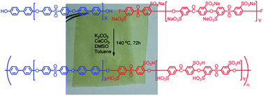 Graphical abstract: Block poly(arylene ether sulfone ketone)s containing densely sulfonated linear hydrophilic segments as proton conductive membranes