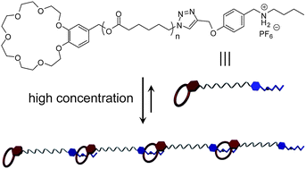 Graphical abstract: Dual-responsive crown ether-based supramolecular chain extended polymers