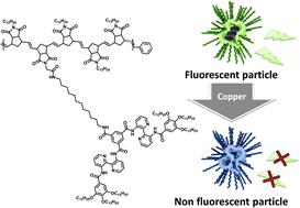 Graphical abstract: Single chain polymeric nanoparticles as compartmentalised sensors for metal ions