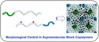 Graphical abstract: Phase separation of supramolecular and dynamic block copolymers