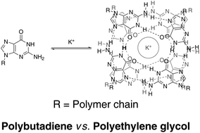 Graphical abstract: Effect of precursor chemical composition on the formation and stability of G-quadruplex core supramolecular star polymers