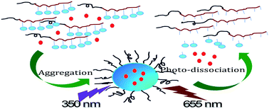 Graphical abstract: A photoresponsive fluorescent glycopolymer