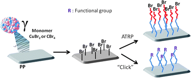 Graphical abstract: Synthesis of block copolymers via atom transfer radical polymerization and ‘click chemistry’ grafted from pre-functionalized polypropylene surfaces using gamma irradiation