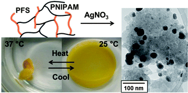 Graphical abstract: Poly(N-isopropylacrylamide)–poly(ferrocenylsilane) dual-responsive hydrogels: synthesis, characterization and antimicrobial applications