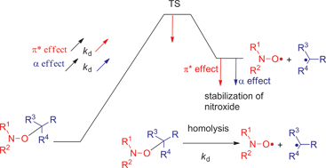 Graphical abstract: Chemically triggered C–ON bond homolysis of alkoxyamines. Part 4: solvent effect