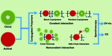 Graphical abstract: Chirality in conjugated polymers: when two components meet