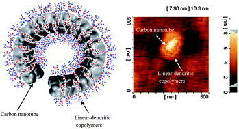 Graphical abstract: Preparation of hybrid nanomaterials by supramolecular interactions between dendritic polymers and carbon nanotubes