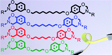 Graphical abstract: Flexible aliphatic-bridged bisphenol-based polybenzoxazines
