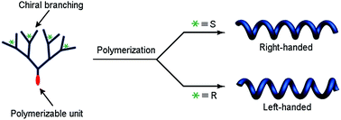 Graphical abstract: Lysine-based dendronized polymers with preferred chirality