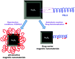 Graphical abstract: Hybrid materials achieved by polypeptide grafted magnetite nanoparticles through a dopamine biomimetic surface anchored initiator