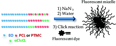 Graphical abstract: Novel functional degradable block copolymers for the building of reactive micelles