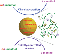 Graphical abstract: Chiral polymeric microspheres grafted with optically active helical polymer chains: a new class of materials for chiral recognition and chirally controlled release