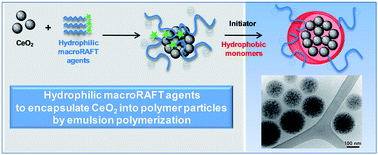 Graphical abstract: Cerium oxide encapsulation by emulsion polymerization using hydrophilic macroRAFT agents