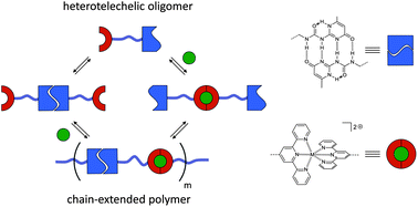 Graphical abstract: Orthogonal self-assembly of stimuli-responsive supramolecular polymers using one-step prepared heterotelechelic building blocks