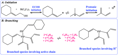 Graphical abstract: Cationic polymerization of isoprene initiated by 2-cyclohexylidene ethanol–B(C6F5)3: an insight into initiation and branching reactions