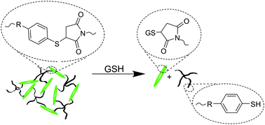 Graphical abstract: Reversible maleimide–thiol adducts yield glutathione-sensitive poly(ethylene glycol)–heparin hydrogels