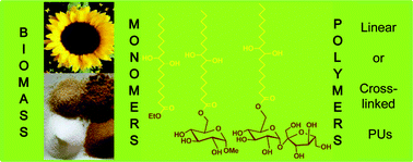 Graphical abstract: Glycolipids as a source of polyols for the design of original linear and cross-linked polyurethanes