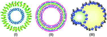 Graphical abstract: Progress on multi-compartment polymeric capsules