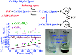 Graphical abstract: Reversible-deactivation radical polymerization mediated by CuSO4·5H2O: an alternative and promising copper(ii)-based catalyst