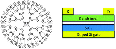 Graphical abstract: Three-dimensional carbazole-based dendrimers: model structures for studying charge transport in organic semiconductor films