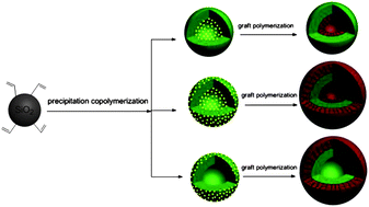 Graphical abstract: Selectively grafting polymer from the interior and/or exterior surfaces of bioreducible and temperature-responsive nanocapsules