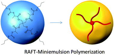 Graphical abstract: Narrow molecular weight and particle size distributions of polystyrene 4-arm stars synthesized by RAFT-mediated miniemulsions