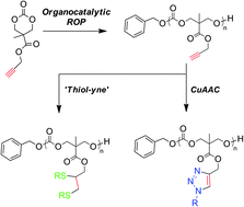 Graphical abstract: Organocatalytic synthesis and post-polymerization functionalization of propargyl-functional poly(carbonate)s