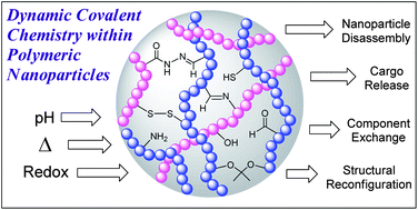 Graphical abstract: Making polymeric nanoparticles stimuli-responsive with dynamic covalent bonds