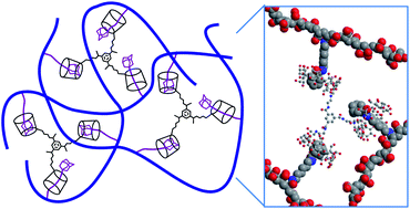 Graphical abstract: Host–guest chemistry of linked β-cyclodextrin trimers and adamantyl substituted poly(acrylate)s in aqueous solution