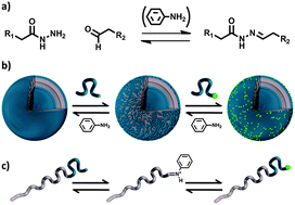 Graphical abstract: Dynamically functionalized polymersomes via hydrazone exchange