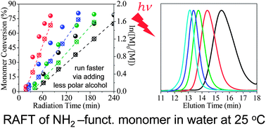 Graphical abstract: Toward rapid aqueous RAFT polymerization of primary amine functional monomer under visible light irradiation at 25 °C