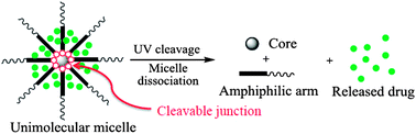 Graphical abstract: UV-cleavable unimolecular micelles: synthesis and characterization toward photocontrolled drug release carriers