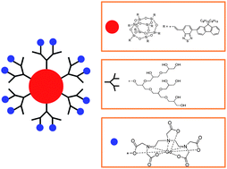 Graphical abstract: Single molecular hyperbranched nanoprobes for fluorescence and magnetic resonance dual modal imaging