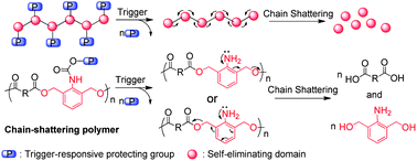 Graphical abstract: Trigger-responsive chain-shattering polymers