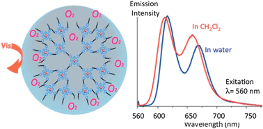 Graphical abstract: Hydrosoluble dendritic poly(ethylene oxide)s with zinc tetraphenylporphyrin branching points as photosensitizers