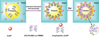 Graphical abstract: Amphiphilic gold nanoparticles formed at a liquid–liquid interface and fabrication of hybrid nanocapsules based on interfacial UV photodimerization