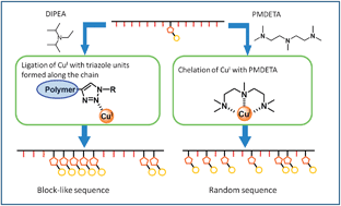 Graphical abstract: Anchimeric assistance on sequence regulation in partial modification of isotactic poly(propargyl methacrylate) by click reaction
