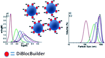 Graphical abstract: Particle nucleation in high solids nitroxide mediated emulsion polymerization of n-butyl acrylate with a difunctional alkoxyamine initiator