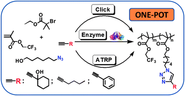 Graphical abstract: A multicomponent polymerization system: click–chemoenzymatic–ATRP in one-pot for polymer synthesis