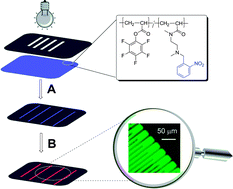Graphical abstract: Copolymers featuring pentafluorophenyl ester and photolabile amine units: synthesis and application as reactive photopatterns