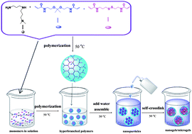 Graphical abstract: In situ generation of bioreducible and acid labile nanogels/microgels simply via adding water into the polymerization system