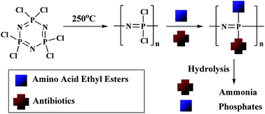 Graphical abstract: Biodegradable polyphosphazenes containing antibiotics: synthesis, characterization, and hydrolytic release behavior