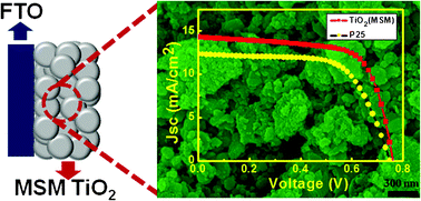 Graphical abstract: TiO2 nanoparticles synthesized by the molten salt method as a dual functional material for dye-sensitized solar cells